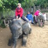 Junior Youth Visits The Animals At Dublin Zoo